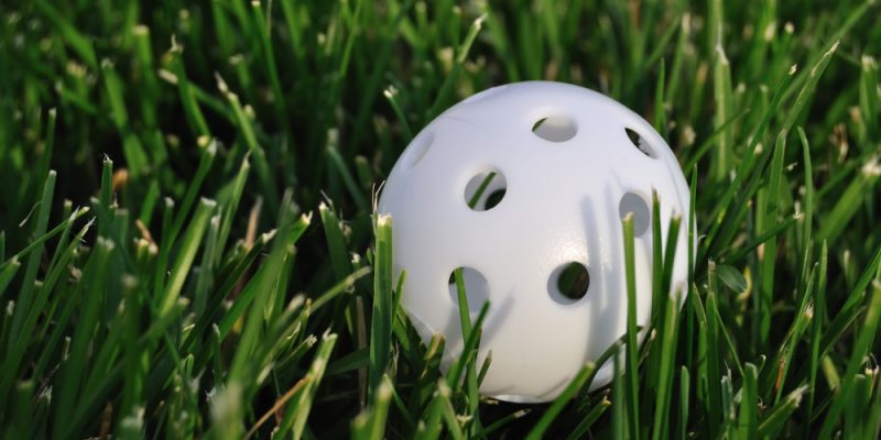 How to make a Wiffle Ball Field in your Backyard 2020