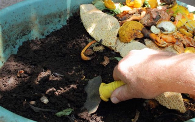 11 Mega Reasons Why Hydrogen Peroxide for Plants is a Must