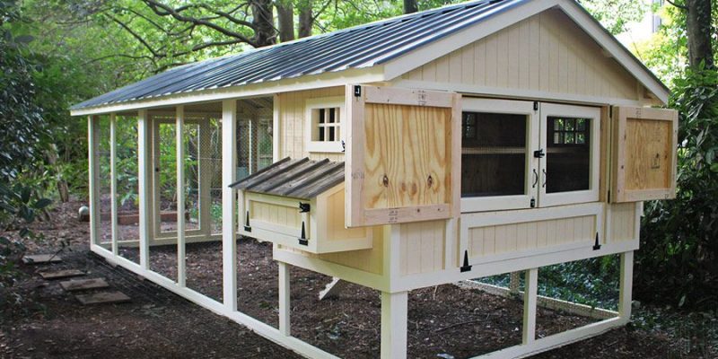 10-small-chicken-coop-plans-build-amazing-hen-house-organize-with-sandy