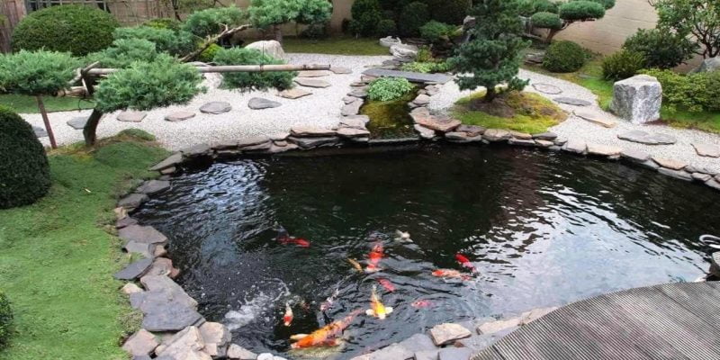 15 Backyard and Garden Pond Design and Ideas