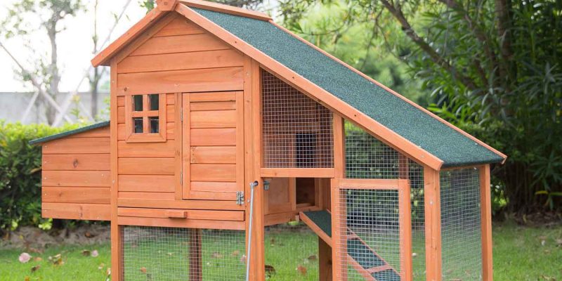 5+ Chicken Coop Door Ideas: Great Help to Get You Started