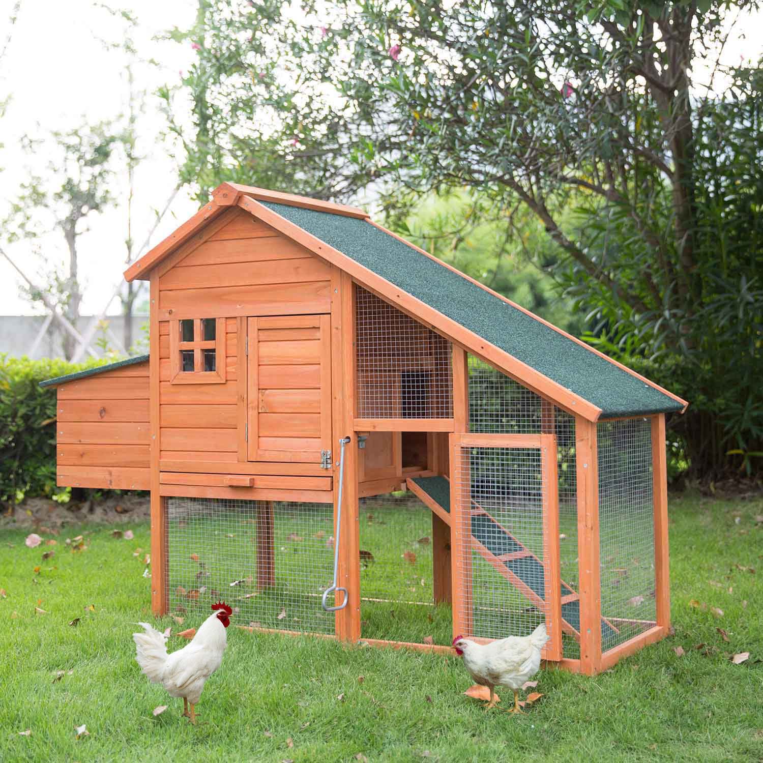 5+ Chicken Coop Door Ideas You Must Try Organize With Sandy