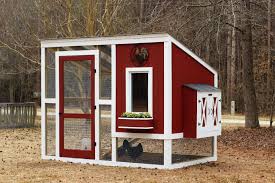 Chicken Run Plans: 10+ Ideas for Chicken Coop