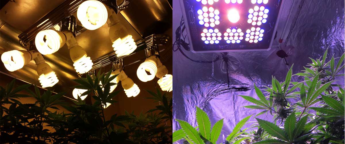 LED vs Fluorescent Grow Lights - Which Is Better ...