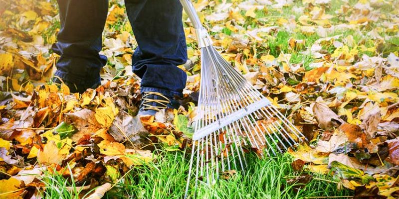 Metal or Plastic Rake? An Analysis