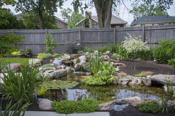 Shallow pond in open garden
