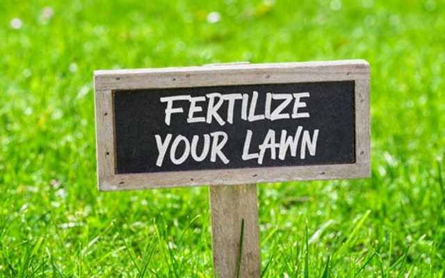What Fertilizer Numbers to Use in Spring - Lawn Fertilizer Guide 2020
