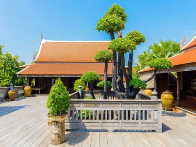 13 Stunning Giant Bonsai Trees