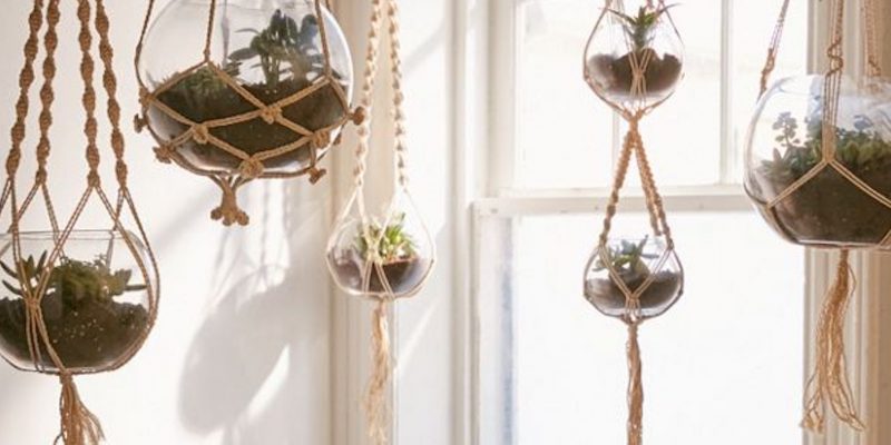 Best Macramé Plant Hangers for Indoor Plants 