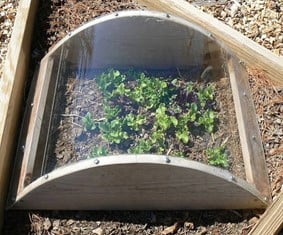 Plexiglass Cold Frame