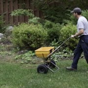 The Right Time to Fertilize Your Lawn