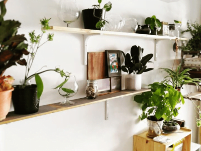 12 DIY Plant Stands & Shelves to Showcase Your Indoor Garden