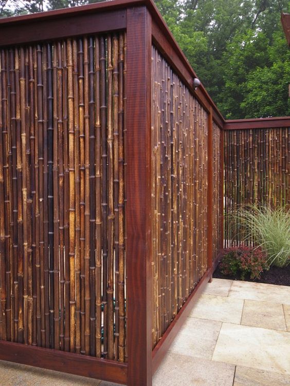 Bamboo fence