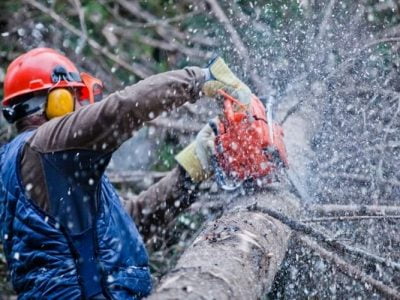 Chainsaw Noise – Protect Yourself and Vibration Hazards