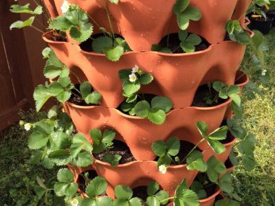 Composting Garden Tower vs. Aeroponic Tower Garden