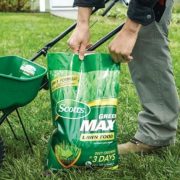 Revive Lawn Treatment Review: Organic Granules