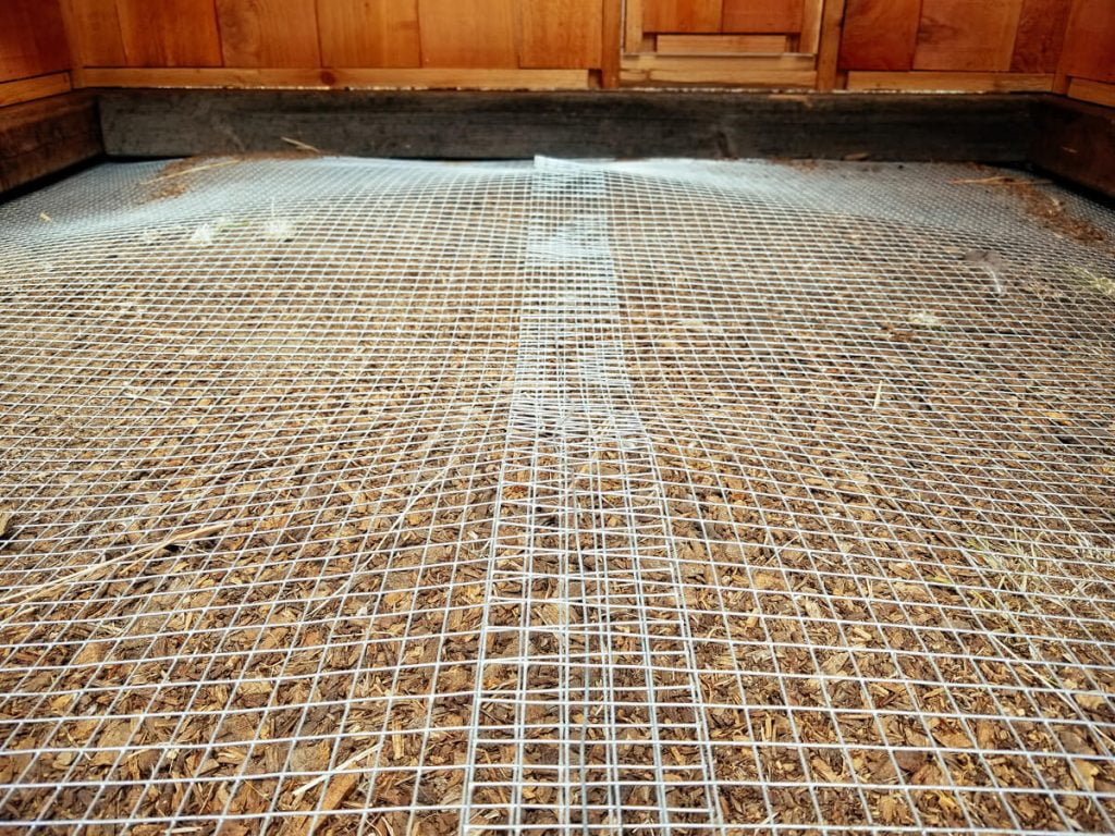 6 Best Option for a Chicken Coop Floor Organize With Sandy