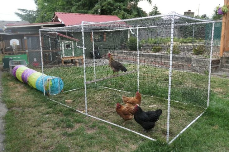 PVC Build Coop