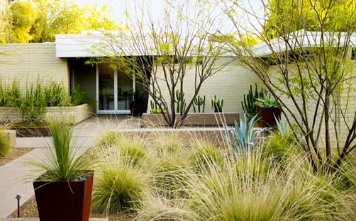 How Many Minutes Gallons Should You Water Your Shrubs and Trees