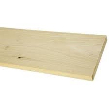Poplar