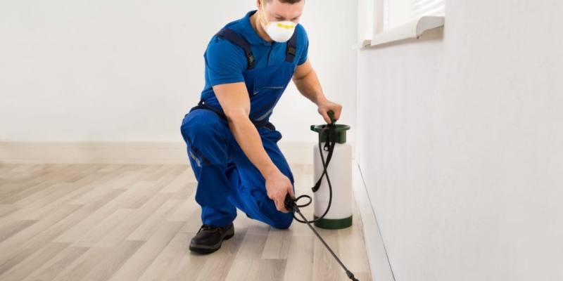 Your Guide to Choosing the Right Bug Control Company for You