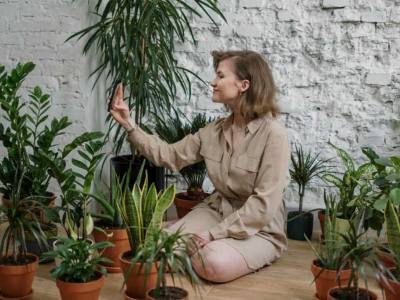 Most Expensive Plants
