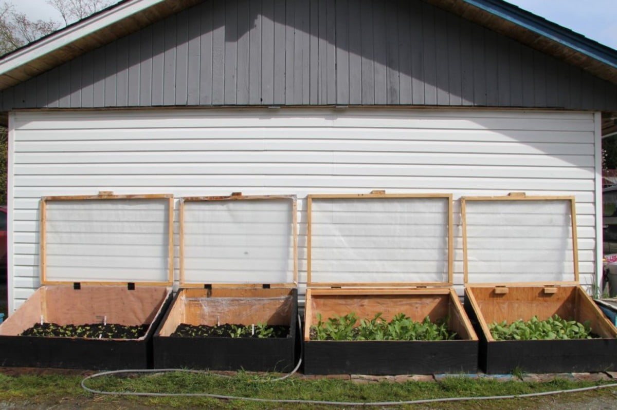 Try To Locate the Cold Frame Under the Roof