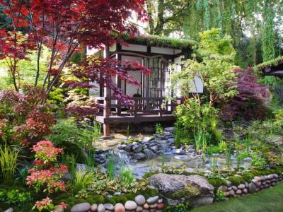 Japanese Garden