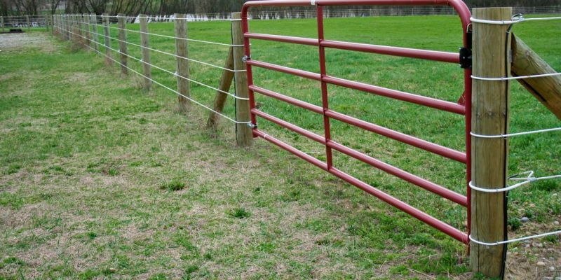 A steel tube gate for an electric fence