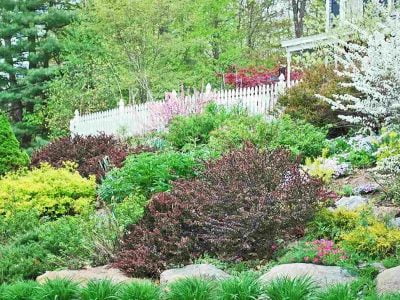 Hillside Landscaping – Tips