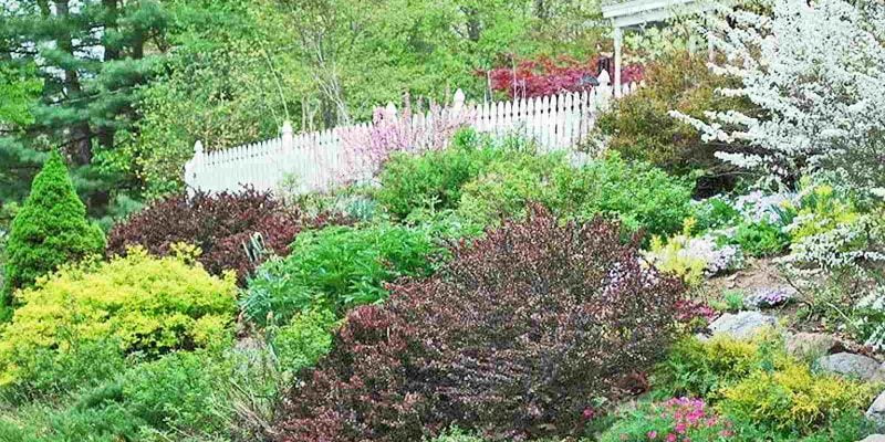 Hillside Landscaping – Tips