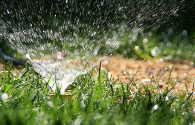 How Long Can You Store Grass Seed