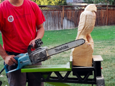 What type of Electric Chainsaw do I Need for Carving