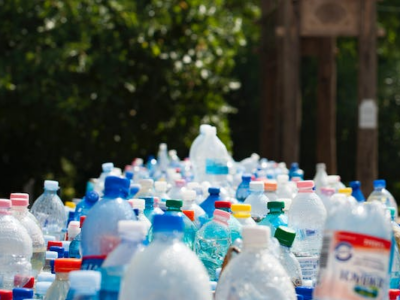Reducing Plastic Waste: The Benefits Of Compostable Packaging