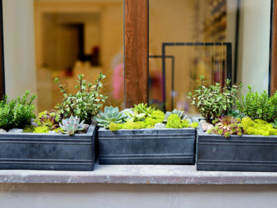 A 7-Step Guide For Building A Window Box Garden