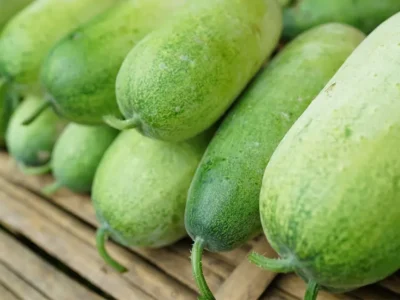 Ash Gourd (Chinese Winter Melon) Nutrition Facts