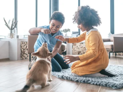 How to Improve Air Quality in the Home Naturally