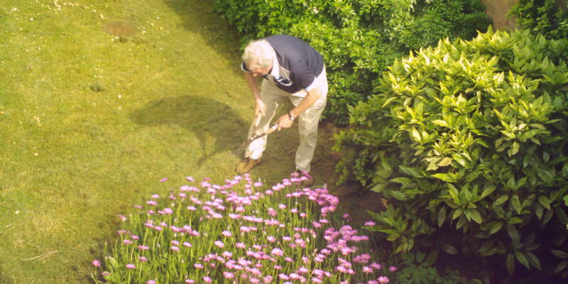 Nature Meets Nurture: Cultivating Comfort in Your Home and Garden