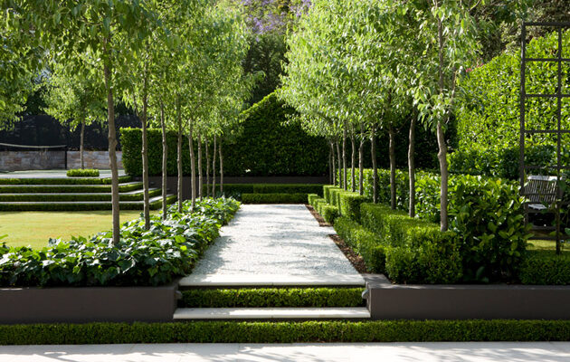 Expanding Your Horizon: Crafting Unique Outdoor Sanctuaries with Professional Landscaping