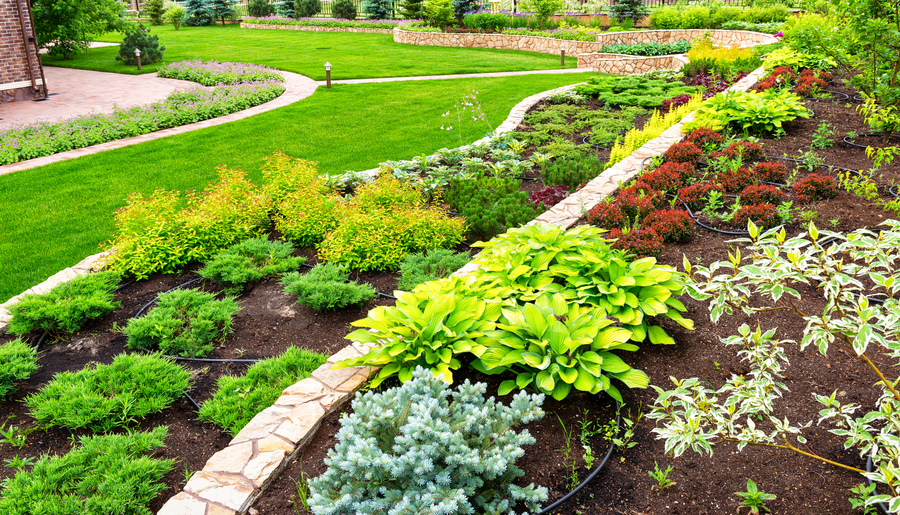 Landscaping panorama of home garden. Beautiful view of landscaped garden in backyard. Scenery of natural landscaping area in summer. Landscape design with plants and flowers at residential house.