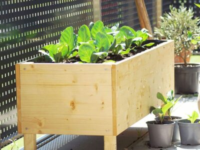 How Wide Should a Planter Box Be