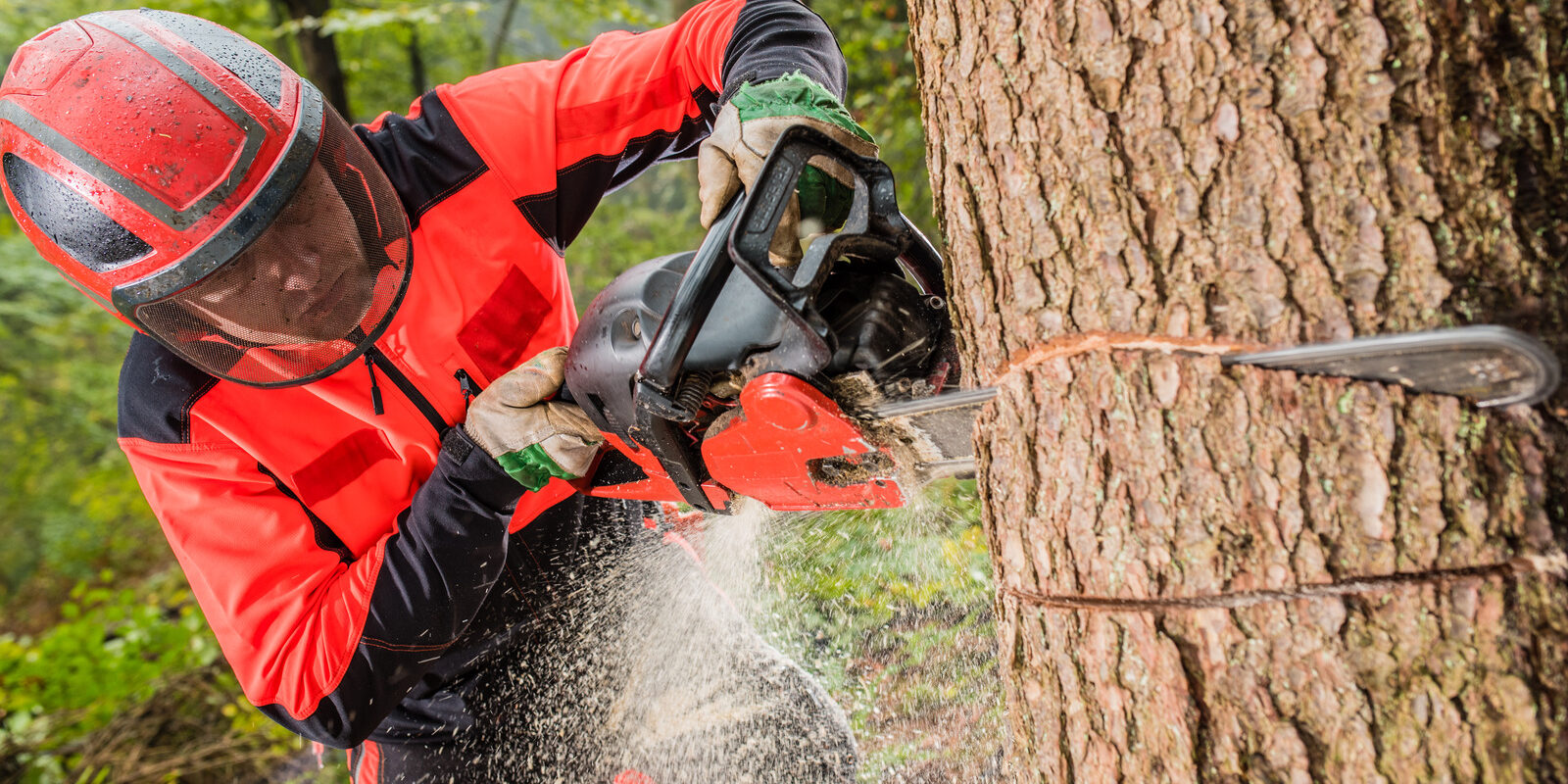 How to Use a Chainsaw Safely? - Organize With Sandy