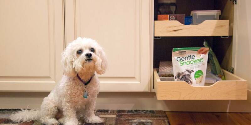 Pet-Friendly Home Renovations: 8 Ideas for Your Furry Friends