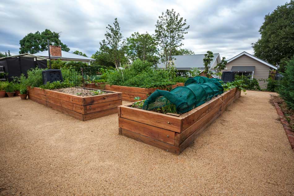 Raised Beds Offer Many Advantages for Gardeners