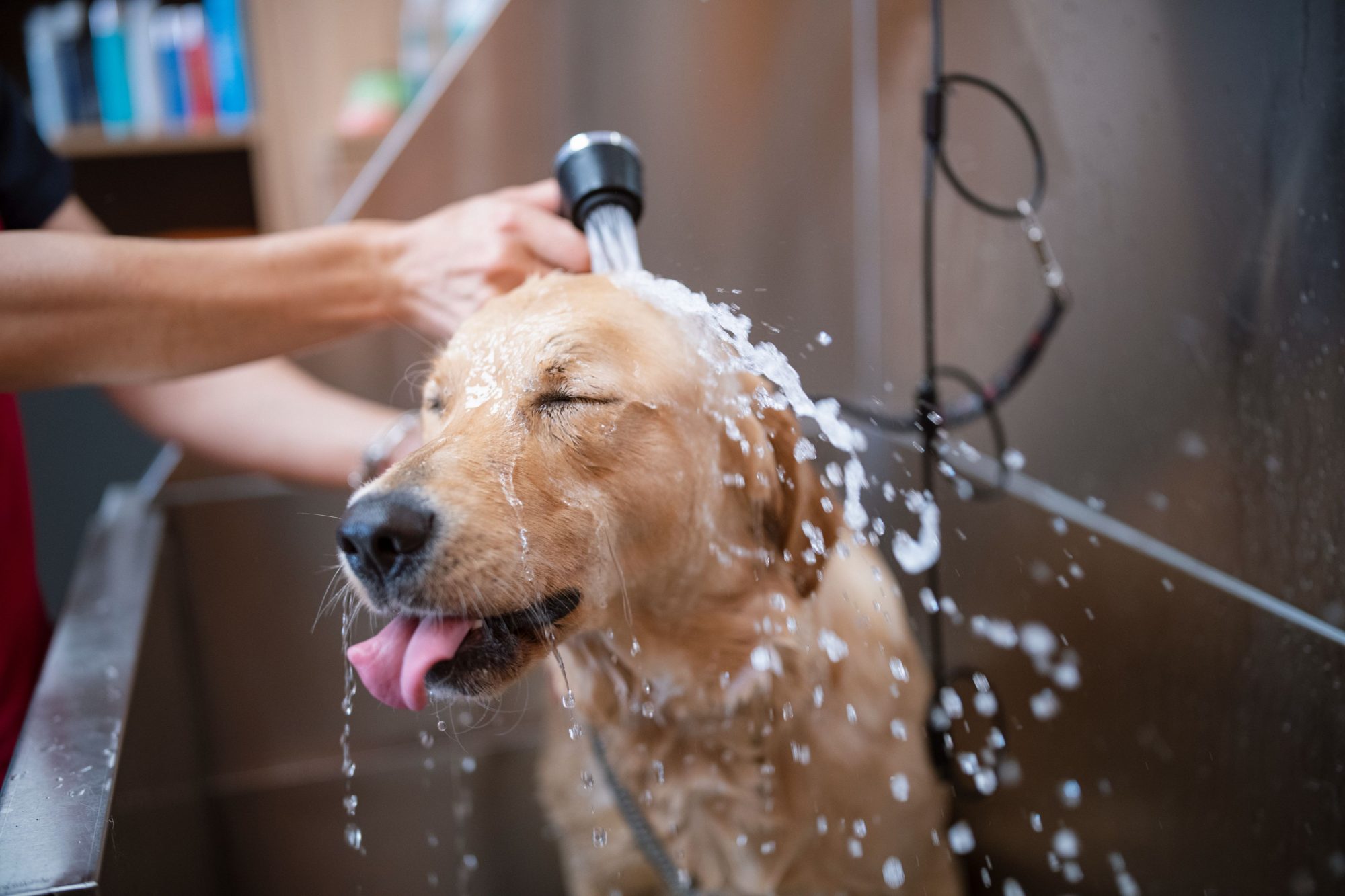 Spa Day, Every Day