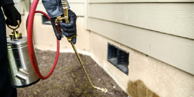 Guide to Hiring a Pest Control Company in Albuquerque