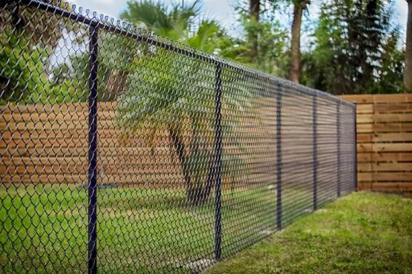 What a Difference a Fence Can Make