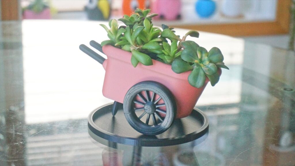 Succulent Delight