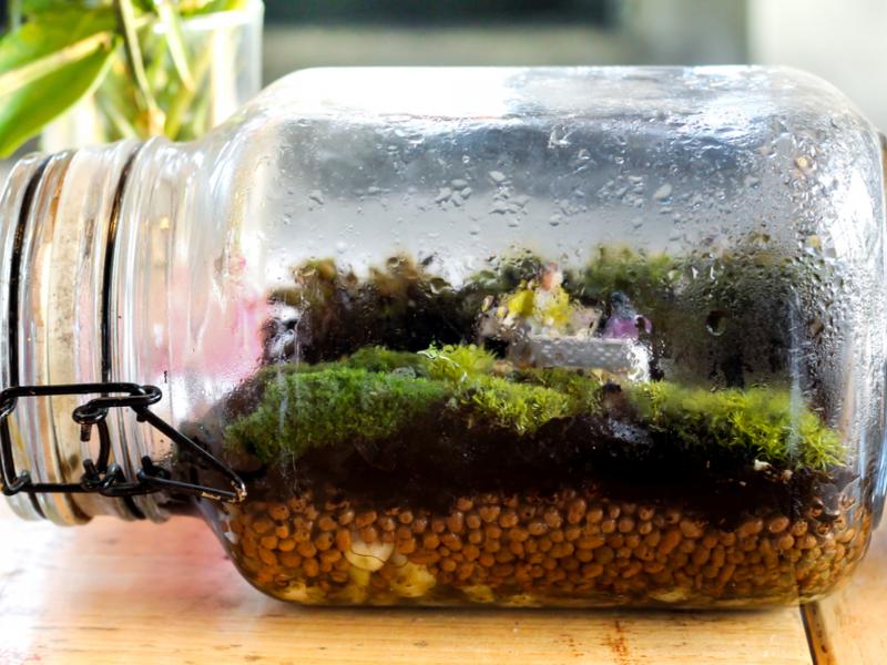 Clean Your Glass Containers