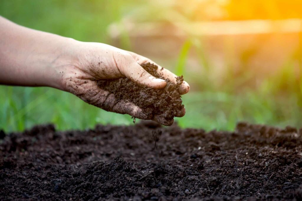 Consider Time and Efficiency of fertilizer
